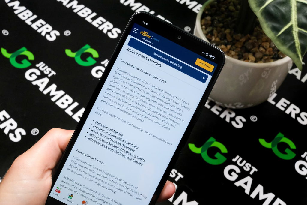 Photo of BetRivers DE sportsbook responsible gaming page.