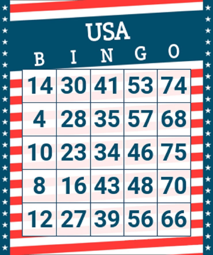 Printable Bingo Card USA