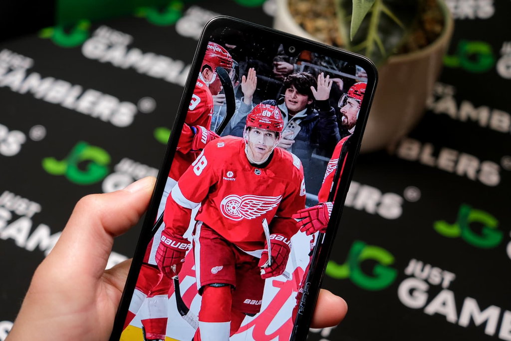Photo of Detroit Red Wings a local sports team to wager on.