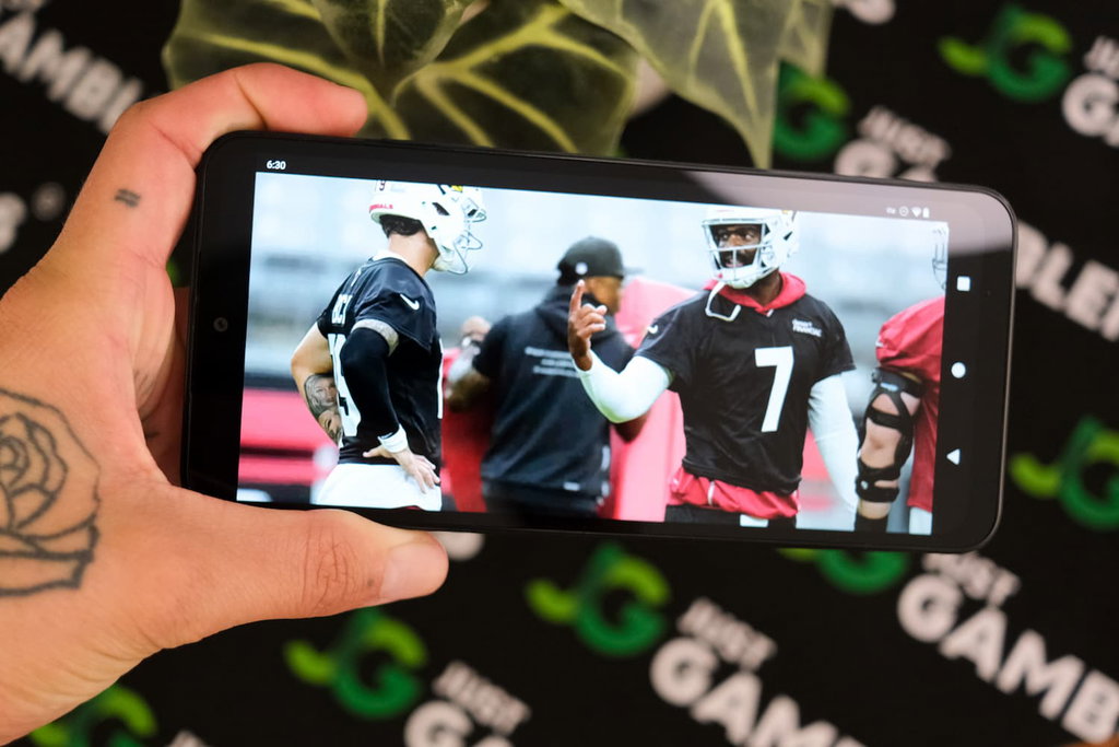 Photo of local pro sports team Arizona Cardinals.