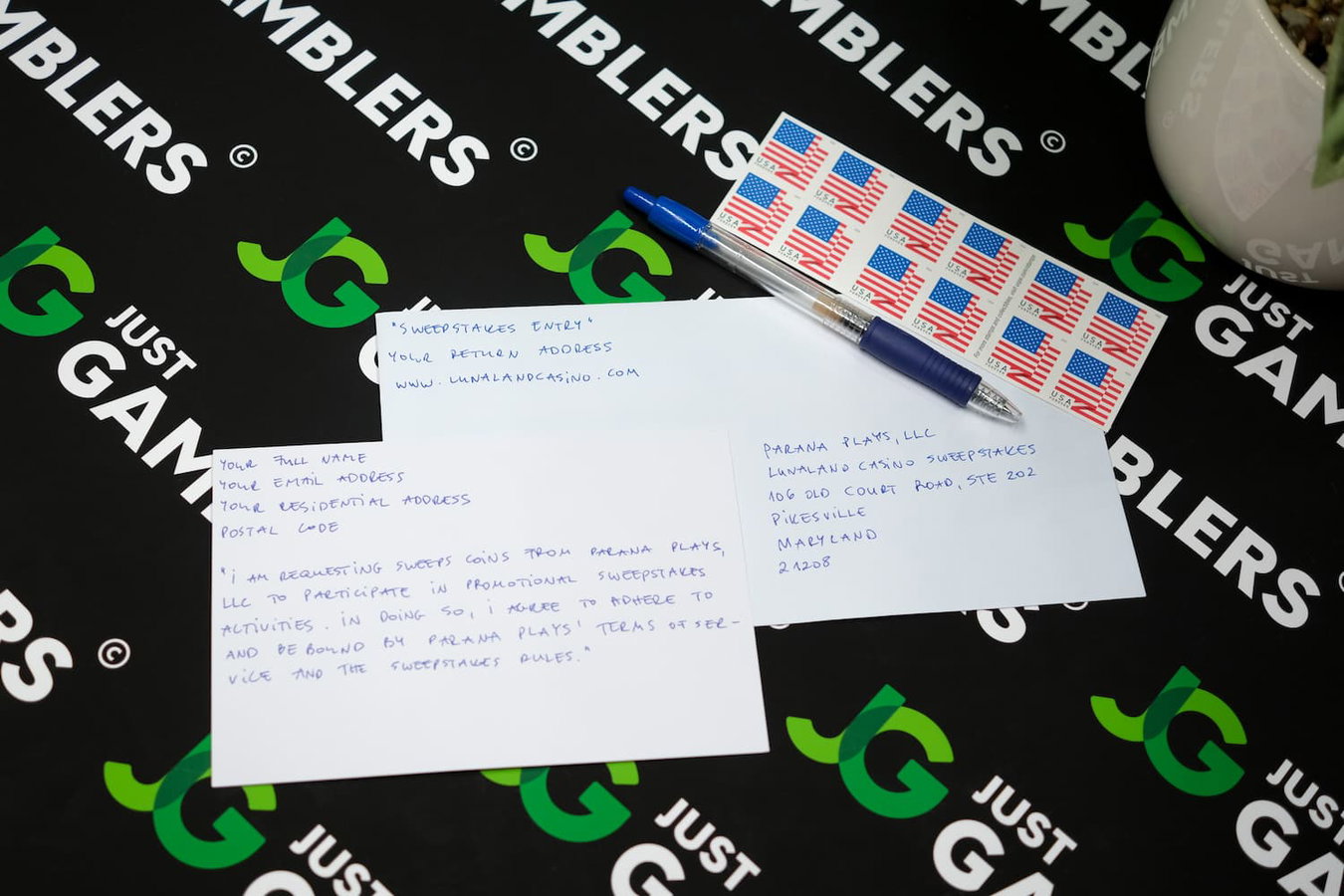 Photo of LunaLand mail-in instructions page.