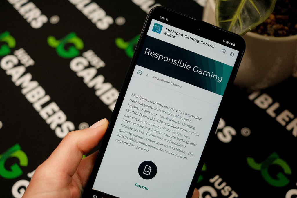 Photo of Responsible Gambling on MGCB official website.