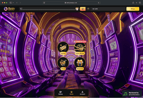 screenshot-bettysweeps-landing-page-desktop