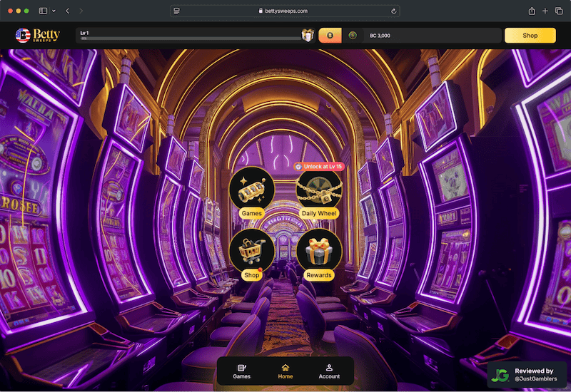 Desktop screenshot of the starting page at BettySweeps.