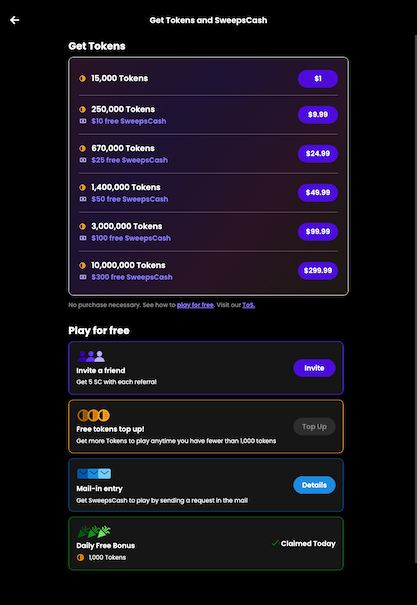 Tablet screenshot of the coin purchase process at Playnomic.