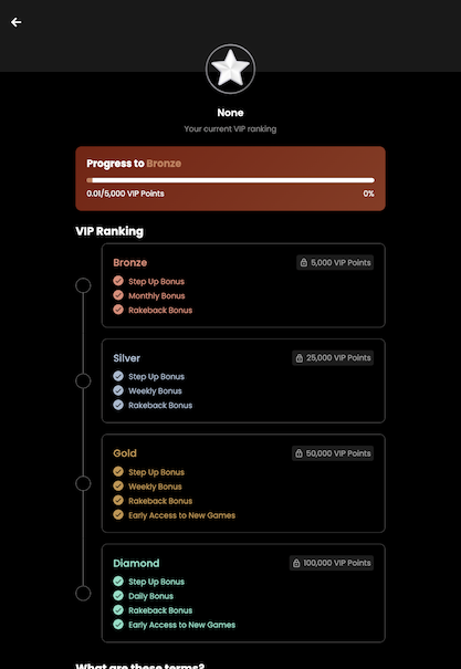 Tablet screenshot of the promo page at Playnomic.