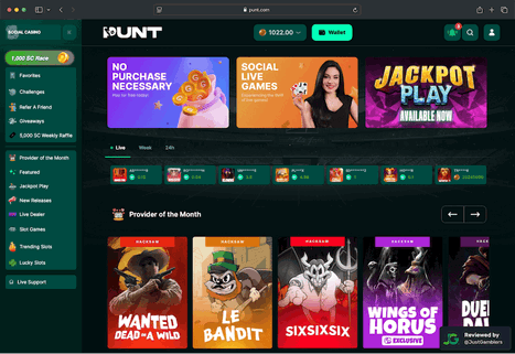 screenshot-punt-landing-page-desktop