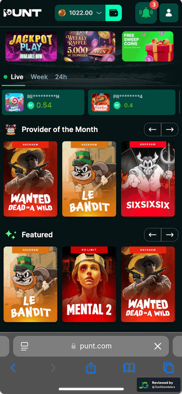 Mobile screenshot of the starting page at Punt.