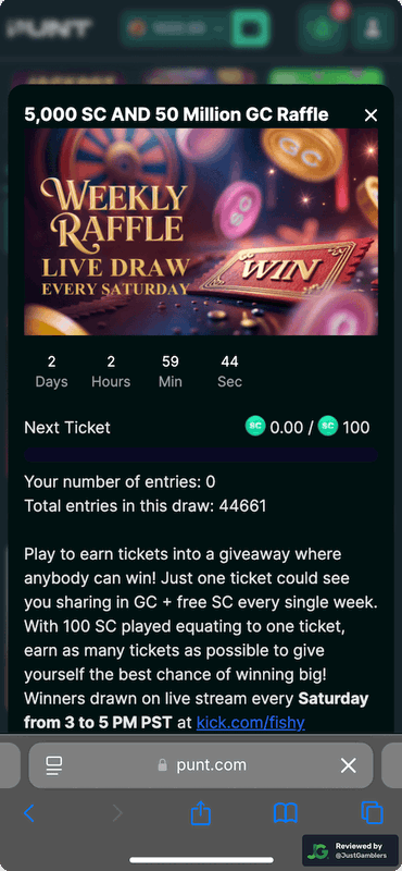 Mobile screenshot of the promo page at Punt.