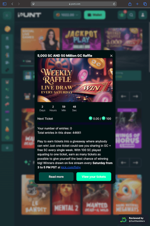 Tablet screenshot of the promo page at Punt.