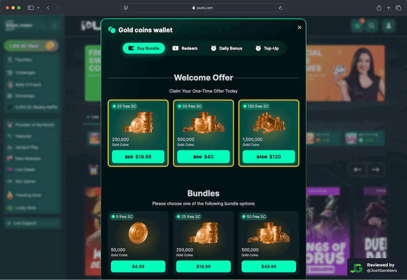 Desktop screenshot of the coin purchase process at Punt.