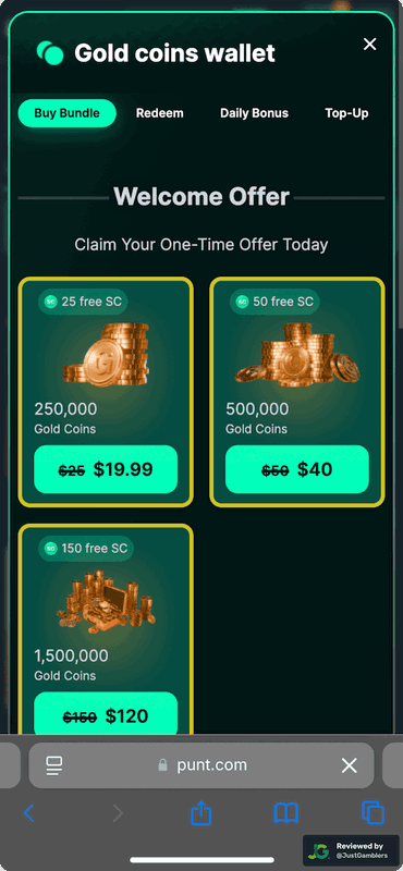 Mobile screenshot of the coin purchase process at Punt.