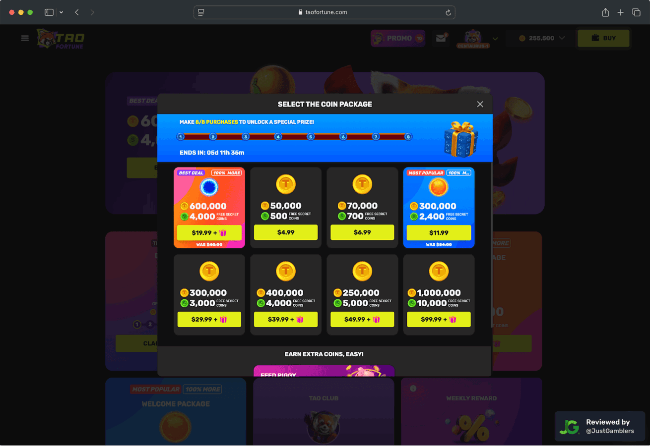 Desktop screenshot of the coin purchase process at TaoFortune.