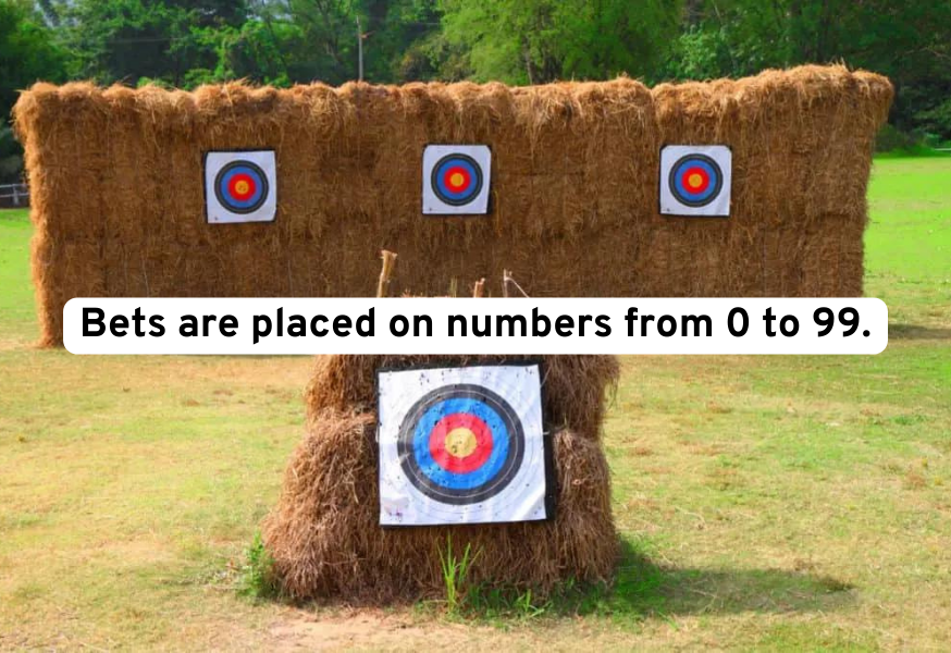 Shillong Teer Place Bets