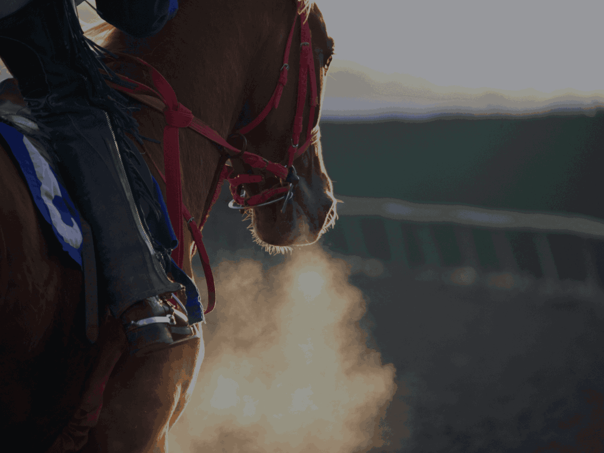 the-biggest-kentucky-derby-jackpot-winners-over-the-years